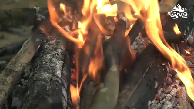 BBQ大肉排，你们猜我吃了什么(1)拜托发财小手点关注，投币，三连哦