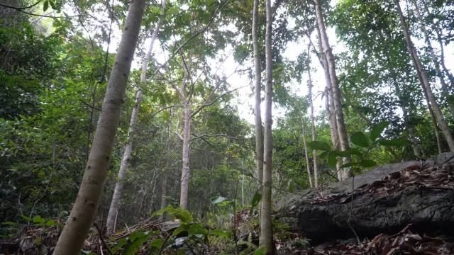 第三季更新高清E119大水车试用【(1)真人我的世界-空手发展-单人炼铁】