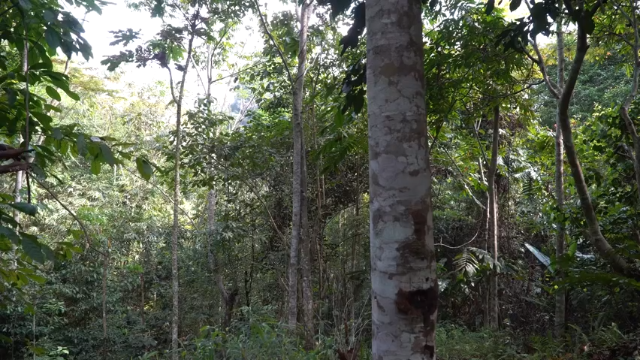 第三季更新高清E117大水车1【真人我的世界-空手发展-单人炼铁】