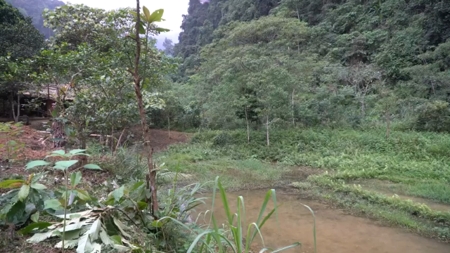 三季更新高清E121独轮车(1)真人我的世界-空手发展-单人炼铁