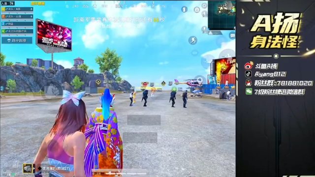 A扬丷：10杀吃鸡，这手跟枪很帅啊