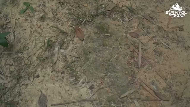 休息的吊床和秋千(4)在户外秋千必须有的辣 拜托发财小手点关注，投币，三连哦