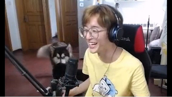 四月又睡......不着了