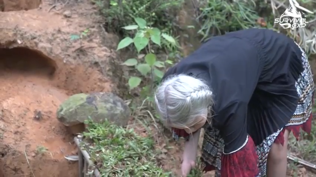 开始养殖了(8)在户外制作小鸡的房子，拜托小手点关注，投币，三连哦