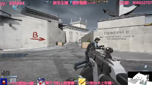 【2021-07-08 15点场】一只小小流浪猫：小菜鸟出没，请注意！！！