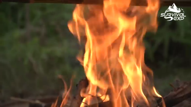 今天吃猪腿(6)户外怎么吃！？ 当然是BBQ拜托发财小手点关注，投币，三连哦