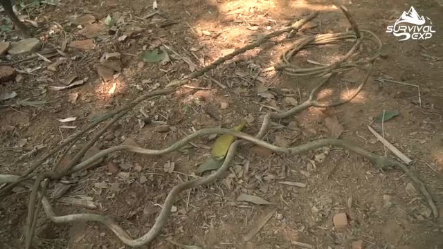 休息的吊床和秋千(3)在户外秋千必须有的辣 拜托发财小手点关注，投币，三连哦