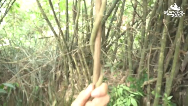 休息的吊床和秋千(9)在户外秋千必须有的辣 拜托发财小手点关注，投币，三连哦