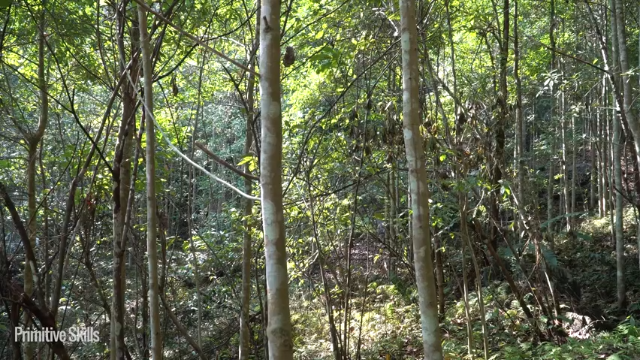 第三季更新高清E117大水车2【真人我的世界-空手发展-单人炼铁】