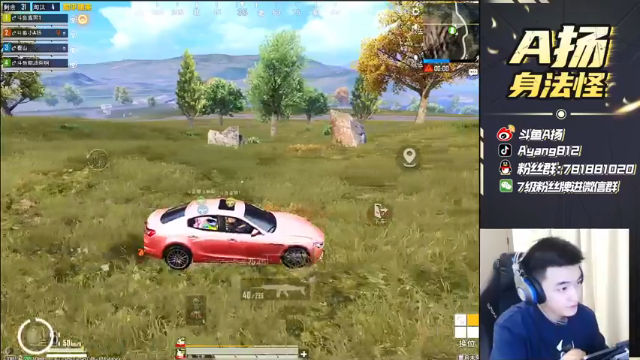 【2021-07-07 21点场】A扬丷：《4LOGO刺激海岛》