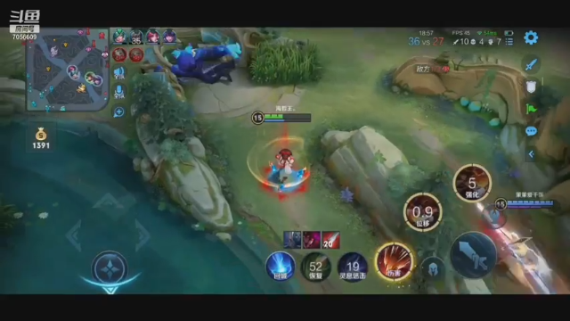 【王者荣耀】4王者峡谷免费带粉上分