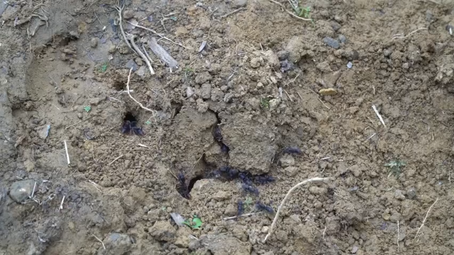 第三季更新高清E118大水车(1)真人我的世界-空手发展-单人炼铁