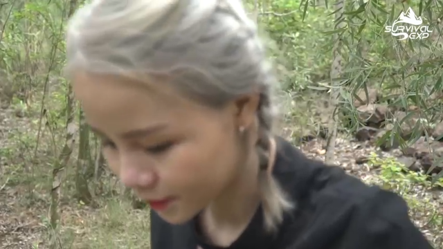 开始养殖了(1)在户外制作小鸡的房子，拜托小手点关注，投币，三连哦