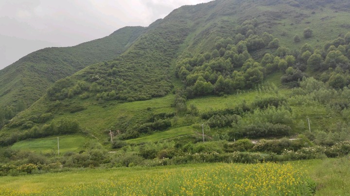 美丽的地方