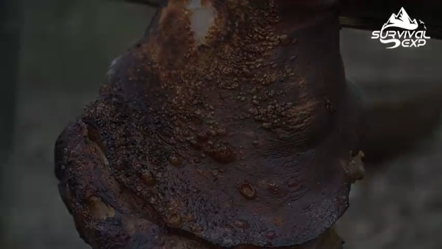 今天吃猪腿(8)户外怎么吃！？ 当然是BBQ拜托发财小手点关注，投币，三连哦