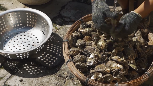我在斗鱼看YESHI小哥直播美食