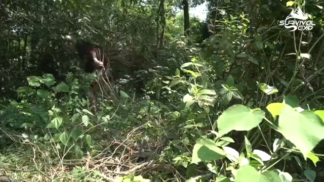 BBQ大肉排，你们猜我吃了什么(4)拜托发财小手点关注，投币，三连哦