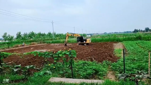 【2021-07-08 10点场】洪湖小肖：12点左右开播