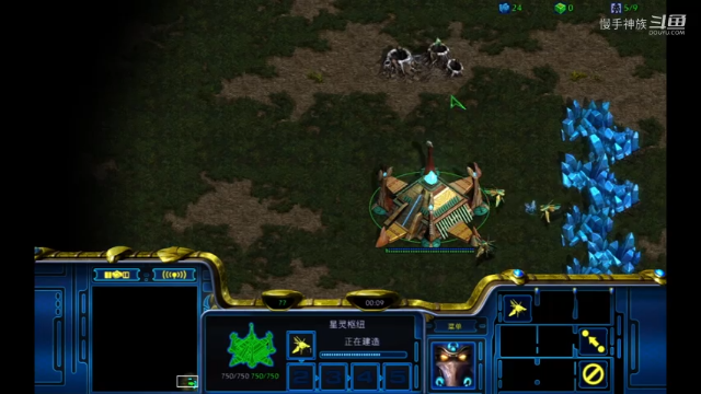 星际争霸pvt饿死的节奏