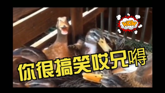 窝嫩蝶！  计划总是赶不上变化