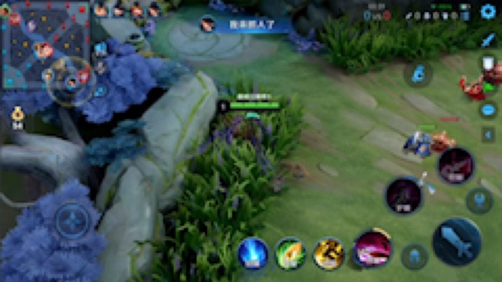 对线教学系列[鲨鱼打扰了]