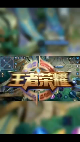 巅峰赛精彩操作2