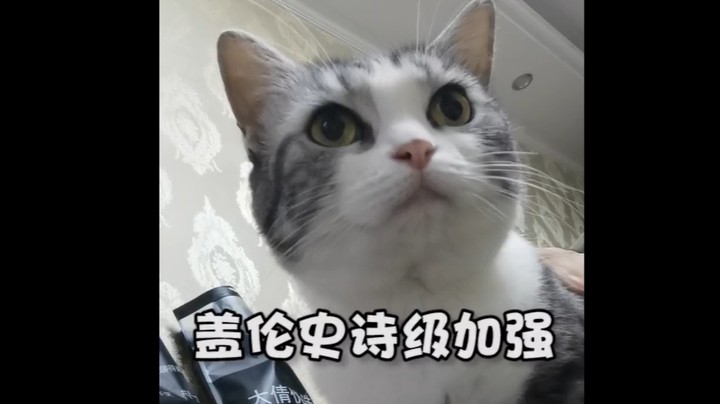 盖伦史诗级加强