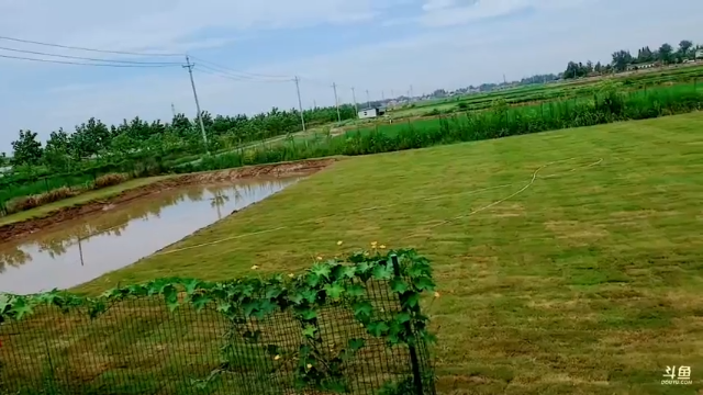 【2021-07-09 13点场】洪湖小肖：洪湖小剧场《燕窝三结义》