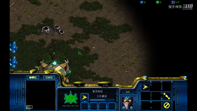 pvt 仲裁者很多2021-07-09 19-44-43