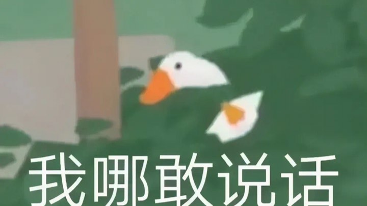 菜的安详