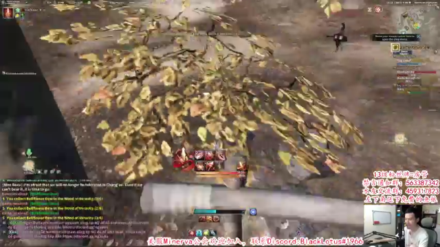 【2021-07-09 22点场】老杨怪：坚决拥护小龙人！