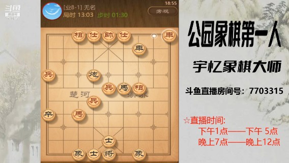 车马炮对车马双兵，27回合对方认输，将军打车