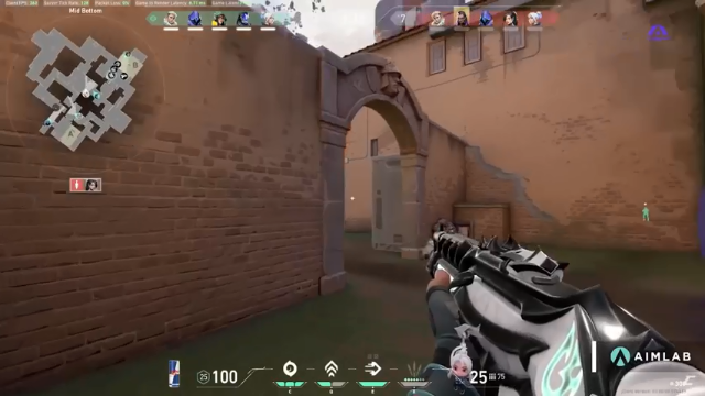 【2021-07-10 01点场】风暴奶爸Nai8：【奶爸】直播G2 vs FPX