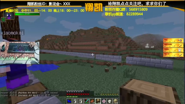 【2021-07-10 22点场】末影龙协会丶翔凯：【翔凯】飞机整合包生存
