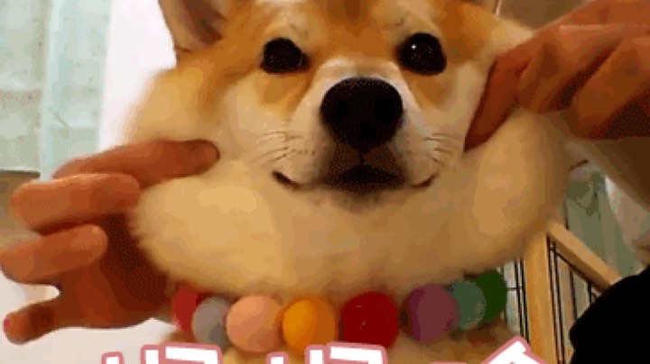 毕竟一月一次