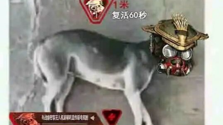 白给的一天