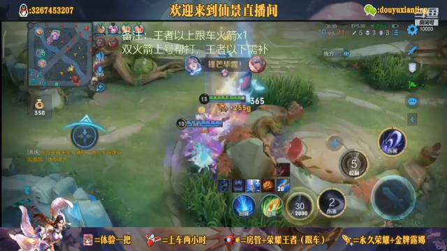 仙景露娜王