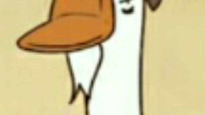 舒雁