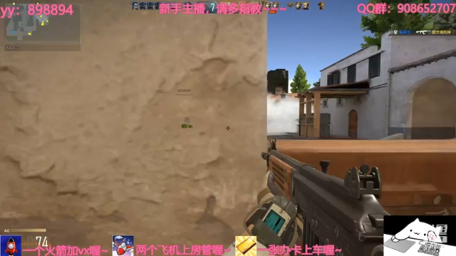 【2021-07-10 18点场】一只小小流浪猫：小菜鸟出没，请注意！！！