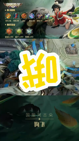 狗飞集锦