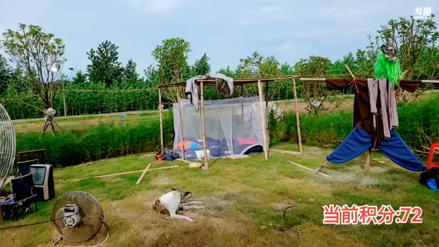 【2021-07-11 07点场】洪湖小肖：变形记之荒岛篇