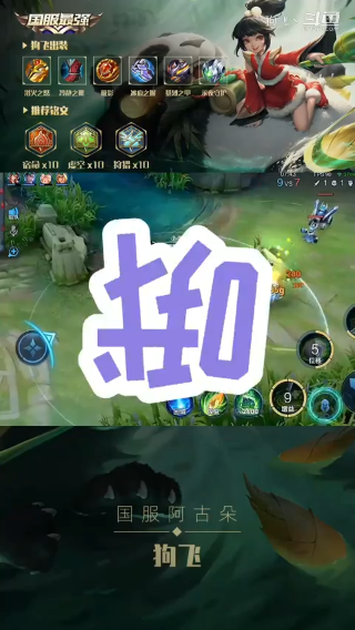狗飞集锦