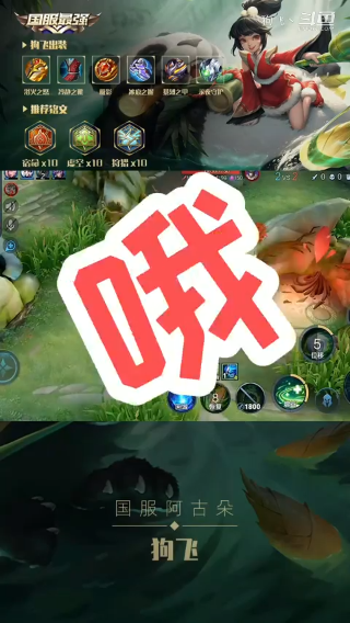 狗飞集锦