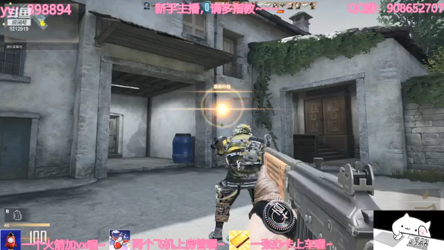 【2021-07-11 18点场】一只小小流浪猫：小菜鸟出没，请注意！！！