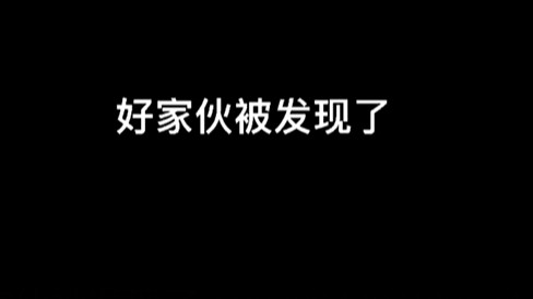 好家伙被发现了