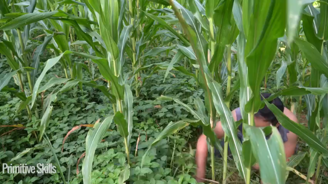 三季更新高清E122门前必须有泳池2真人我的世界-空手发展-单人炼铁