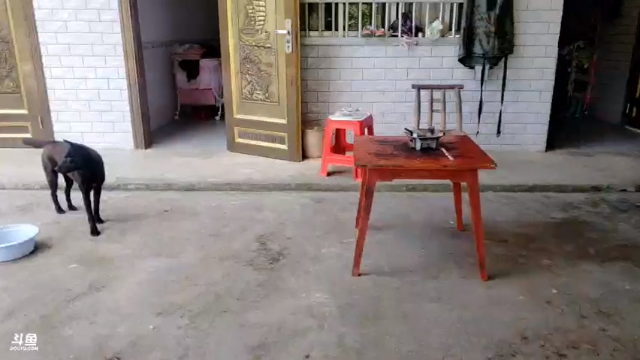 【2021-07-12 09点场】魅力生活i：早上8点收地笼