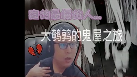 本鸟的密室鬼屋之旅，最强坦克