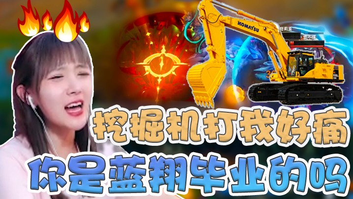 这个挖掘机打我这么痛！你是蓝翔毕业的吗？