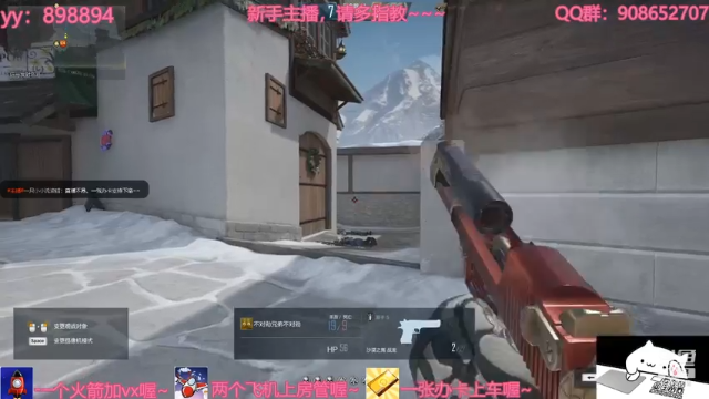 【2021-07-12 19点场】一只小小流浪猫：小菜鸟出没，请注意！！！
